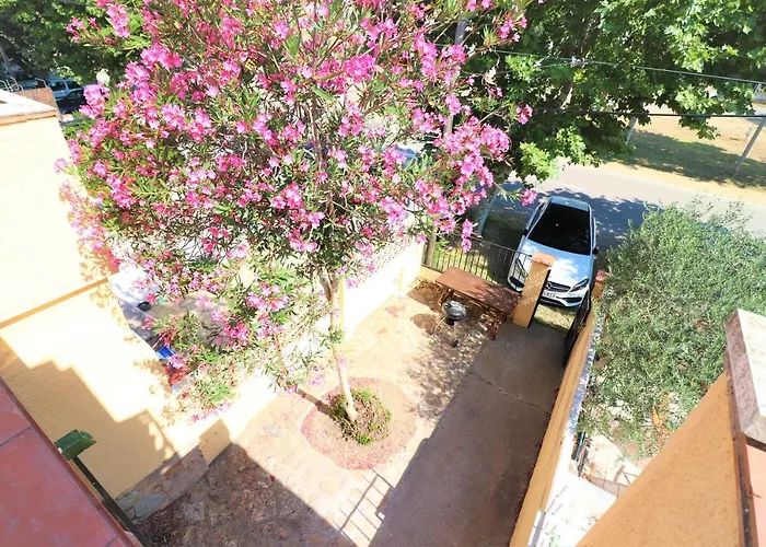 Byblos 74 - Immo Barneda * 艾姆布里亚布拉瓦